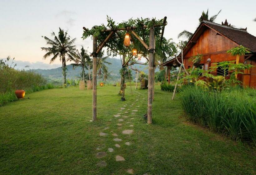 ベッドアンドブレックファースト Gladak Di Uma Bali