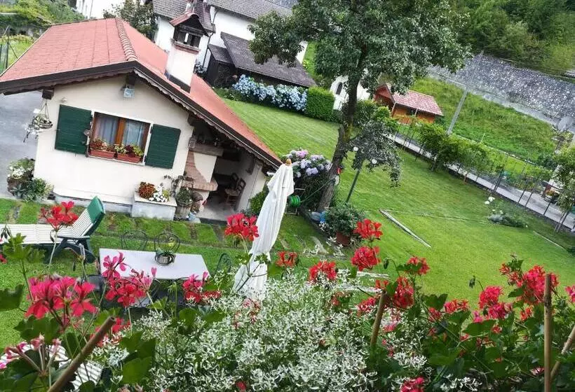 B&b Oltra