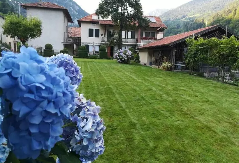 B&b Oltra