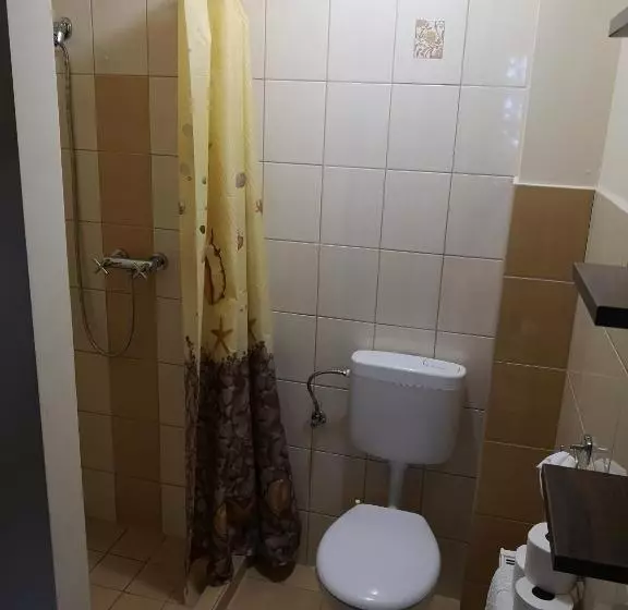 تختخواب و صبحانه Borostyán Panzió Balatonfüred
