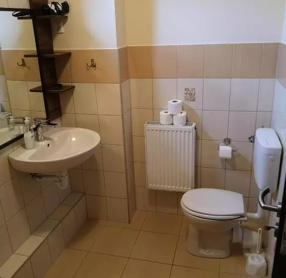 تختخواب و صبحانه Borostyán Panzió Balatonfüred