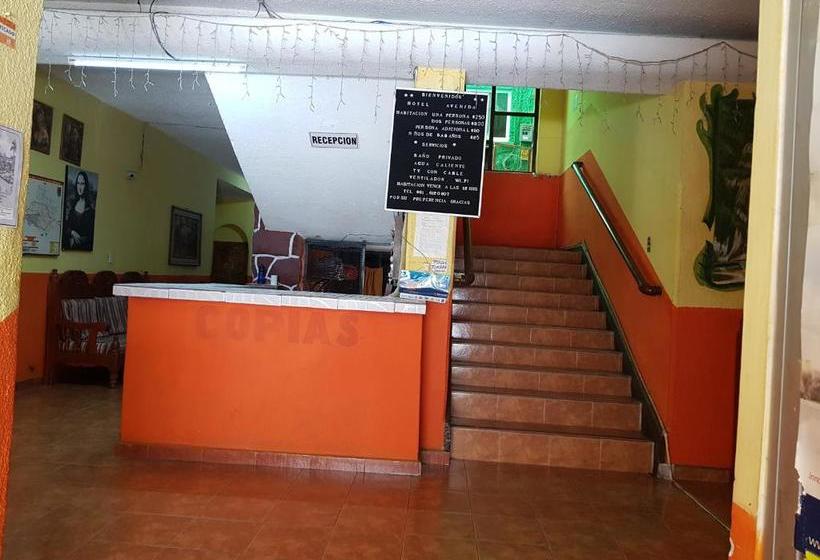 בית מלון כפרי Avenida