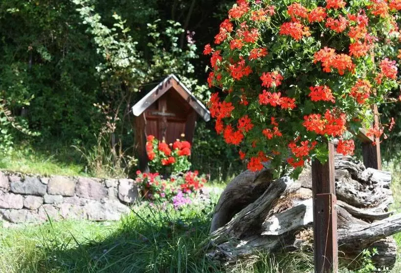 ホテル Ferienbauernhof Masunerhof