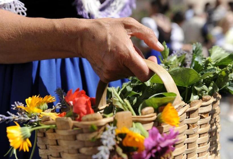 酒店 Ferienbauernhof Masunerhof