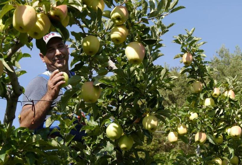 酒店 Ferienbauernhof Masunerhof
