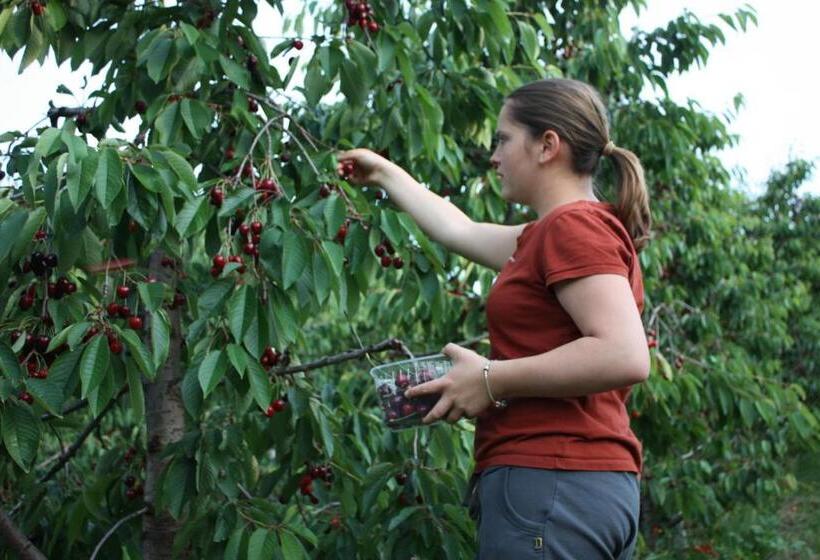 酒店 Ferienbauernhof Masunerhof