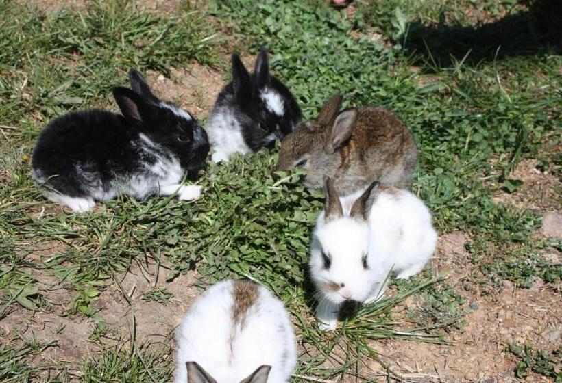 酒店 Ferienbauernhof Masunerhof