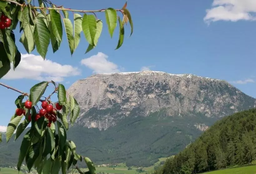 ホテル Ferienbauernhof Masunerhof