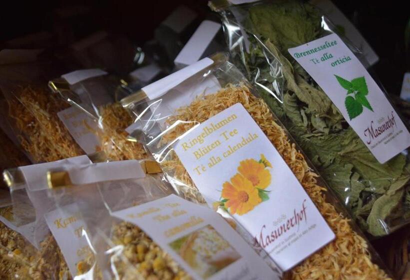 酒店 Ferienbauernhof Masunerhof