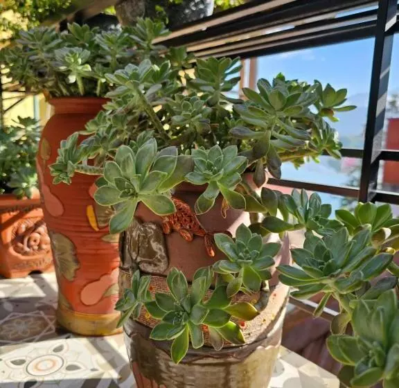 پانسیون Dang Khoa Garden Inn