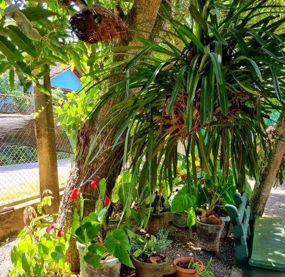 ペンション Helena Holiday Cottage