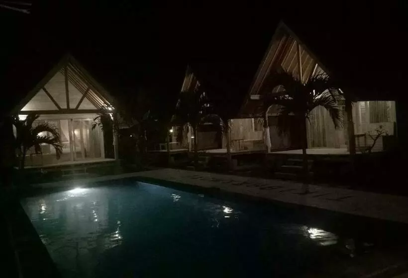 پانسیون Tiki Bar And More