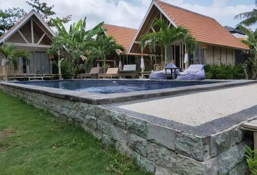 پانسیون Tiki Bar And More