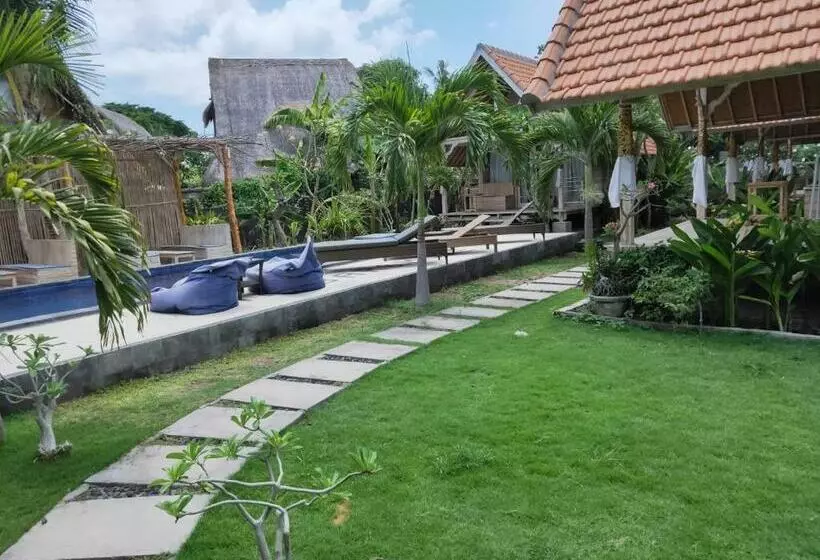 پانسیون Tiki Bar And More