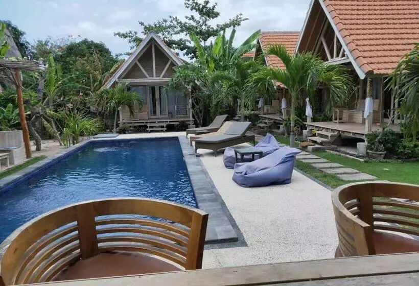 پانسیون Tiki Bar And More