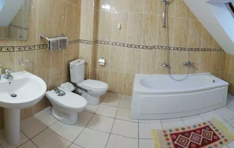 Majatalo Vila Vladimir