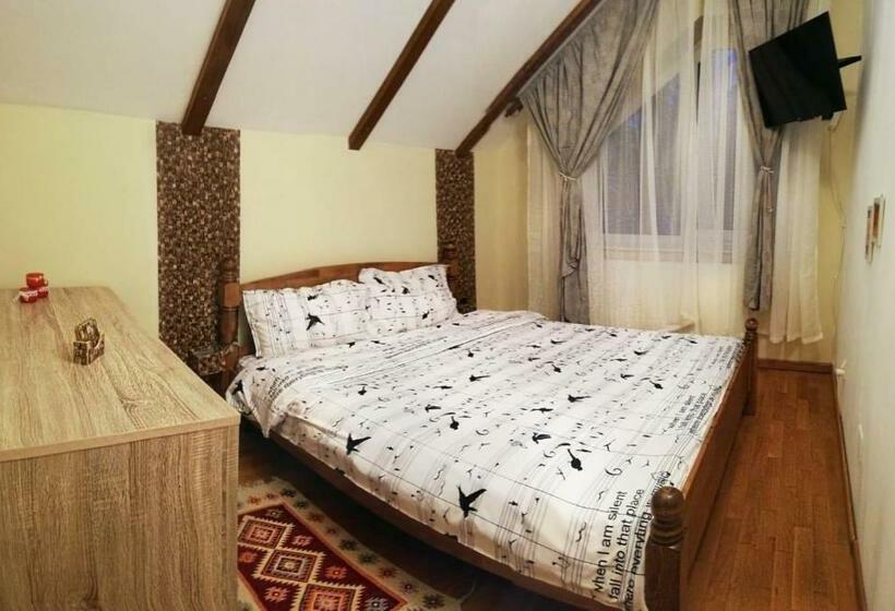 פנסיון Vila Vladimir