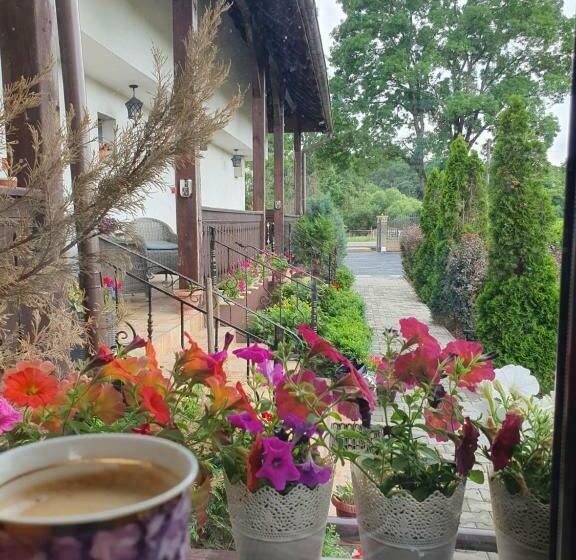 بنسيون Casa Cu Pridvor