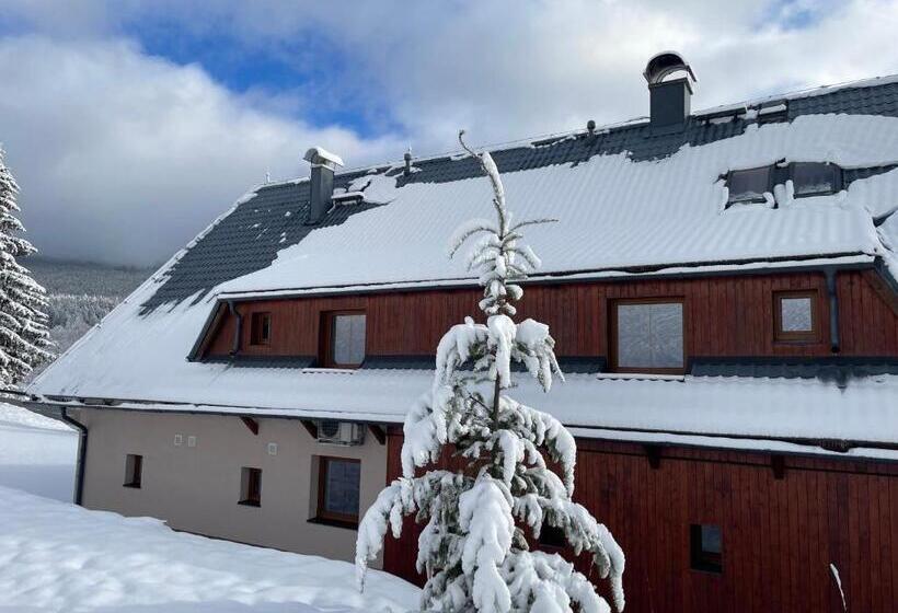 פנסיון Chata Boubín