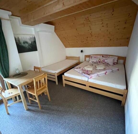 פנסיון Chata Boubín