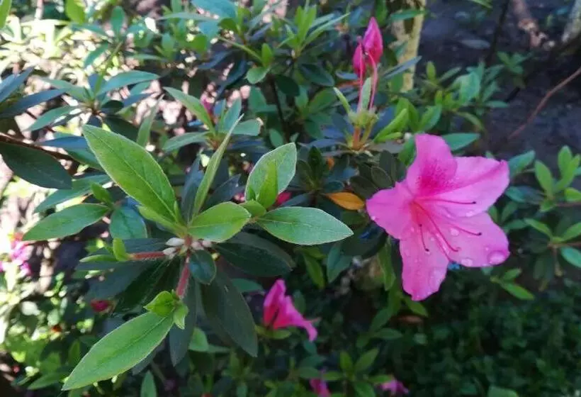 پانسیون Guest House Nadejda