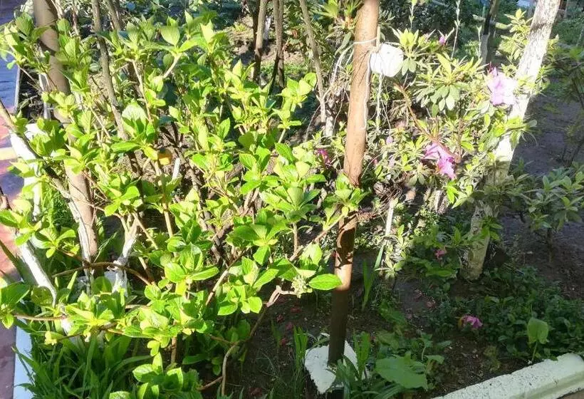 پانسیون Guest House Nadejda