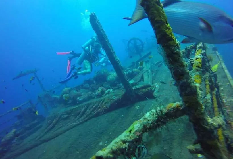 Pensão Guesthouse Our House