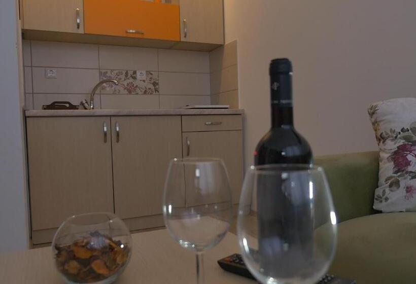 پانسیون Guesthouse Ušće