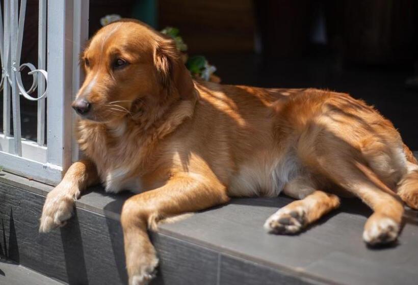 Pension Manakin Hostal & Resto