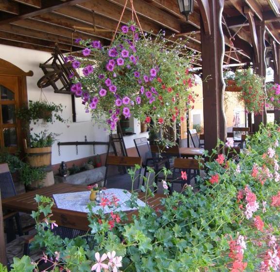 Pensjonat Penzion U Petra