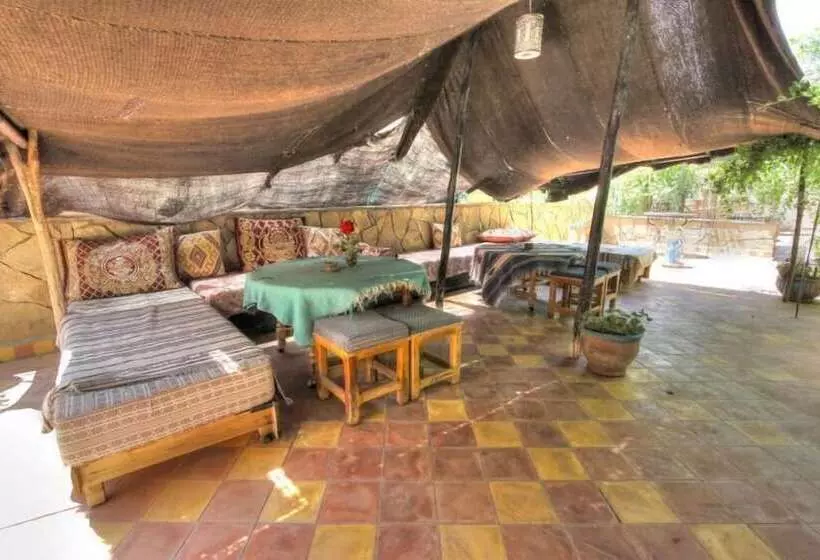 تختخواب و صبحانه Kasbah Amazir