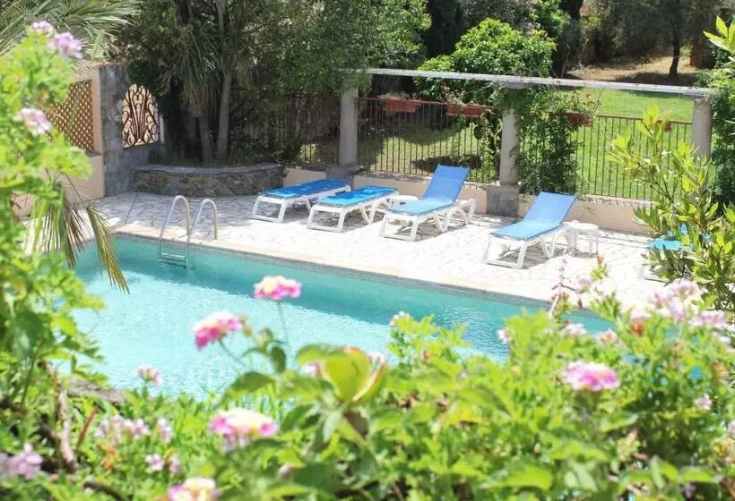 Domaine Le Clos Des Oliviers