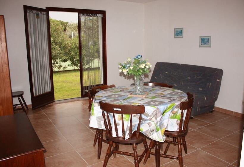 Domaine Le Clos Des Oliviers