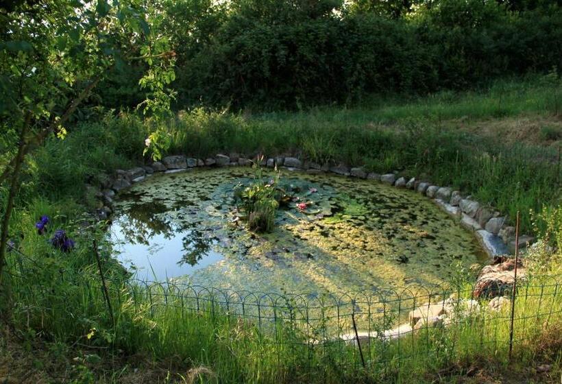 Отель Casina Di Cornia