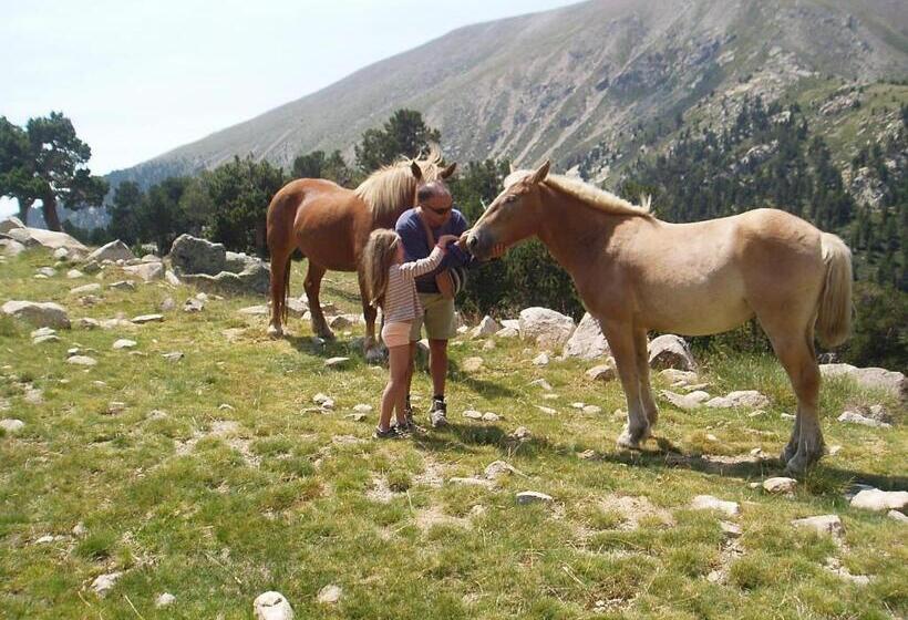 פנסיון Fonda Ca L'abel