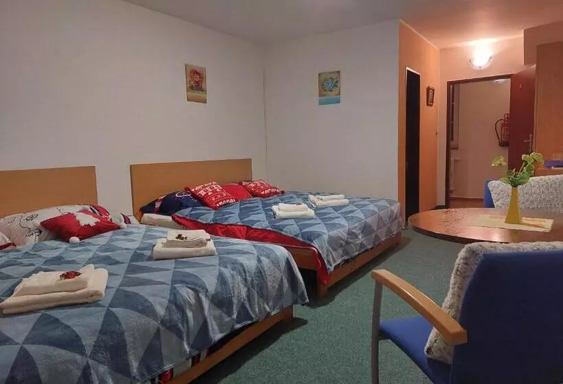 پانسیون Penzion Lipno Jantar