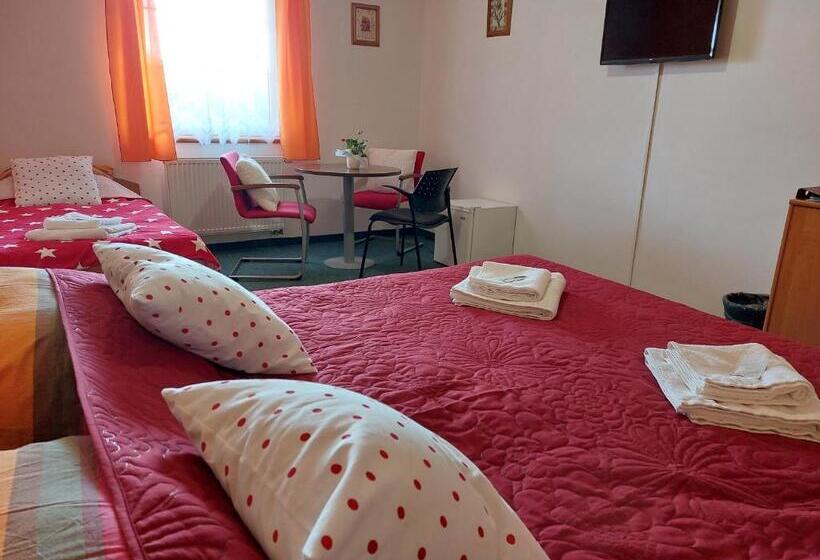 بنسيون Penzion Lipno Jantar