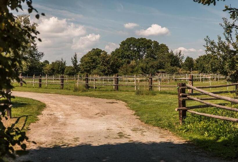 ペンション Penzion V Jízdárně