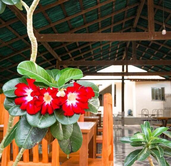 Pension Pousada Sitio Preguicas