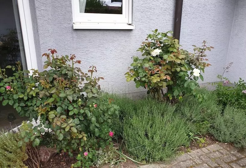 Pension Boitz
