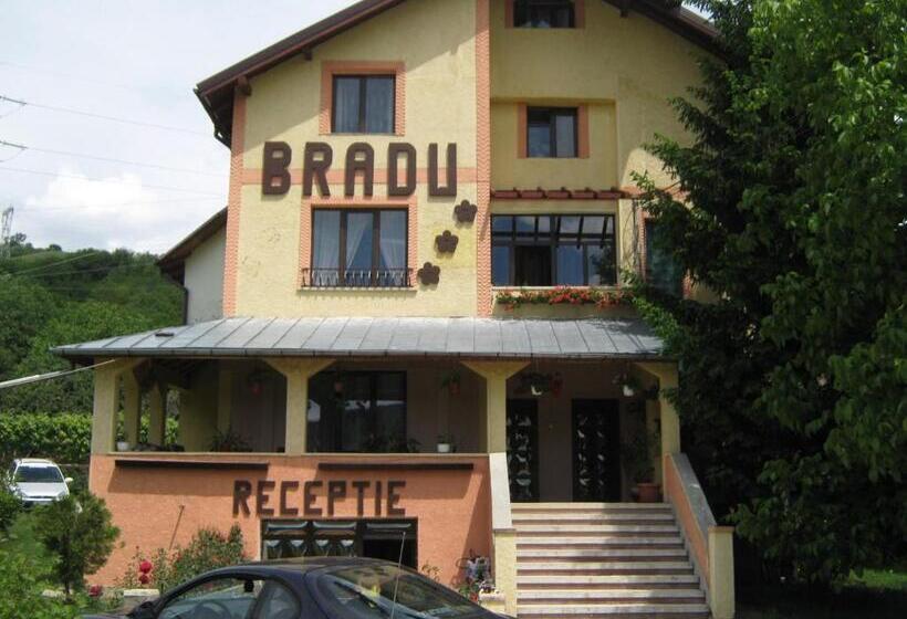 Pensiunea Bradu