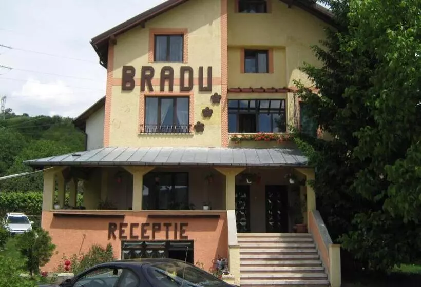 Pensiunea Bradu
