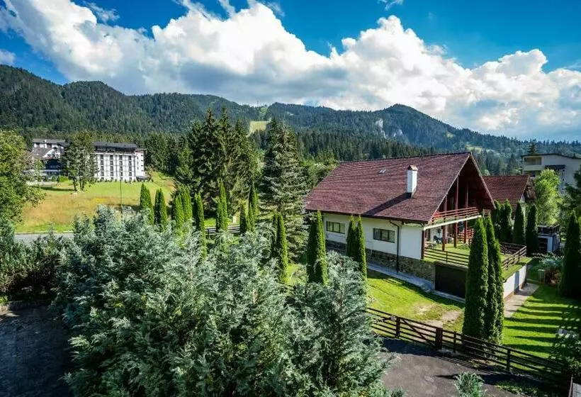 Pensiunea Sura Dacilor   Alex