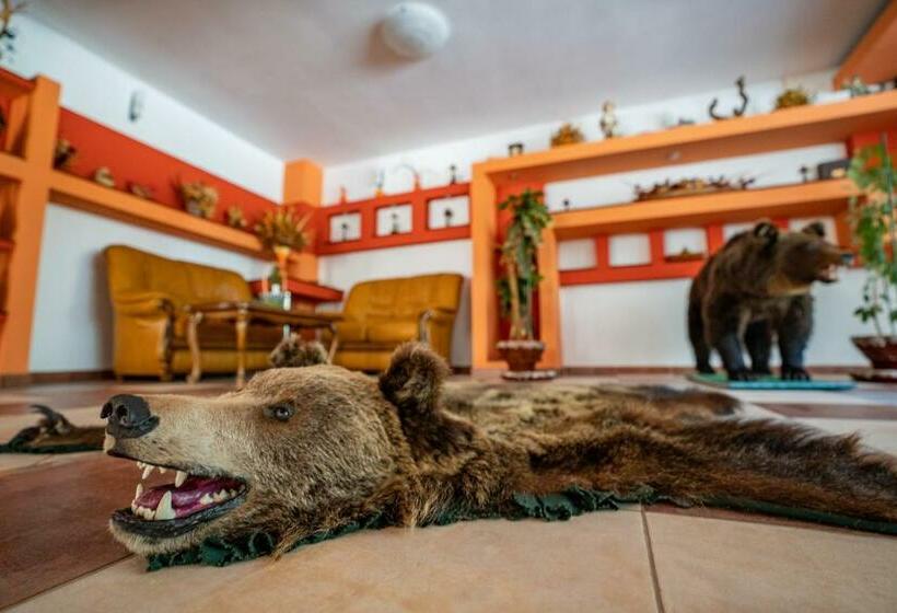 Pensiunea Sura Dacilor   Alex