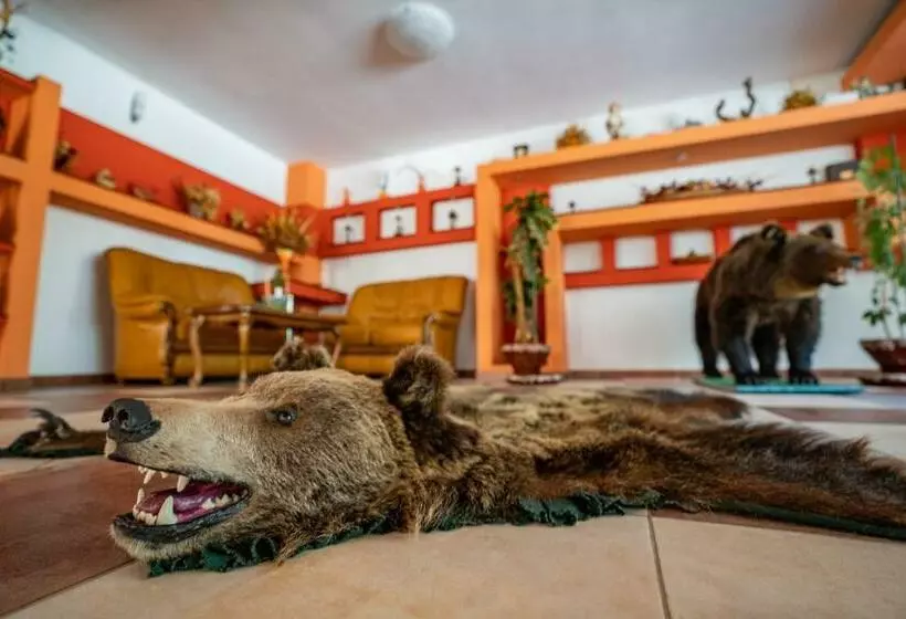 Pensiunea Sura Dacilor   Alex