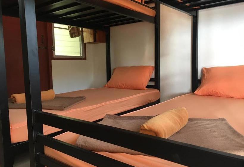 Schronisko Sea Breeze Backpacker