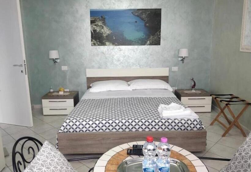 Bed and Breakfast Belvedere