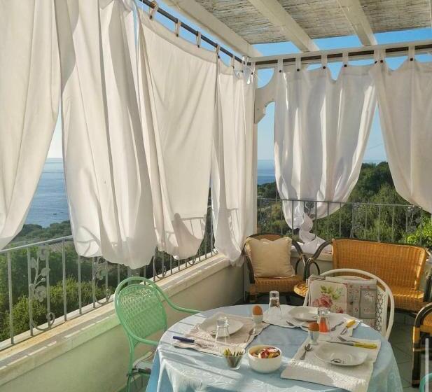 Bed and Breakfast Belvedere