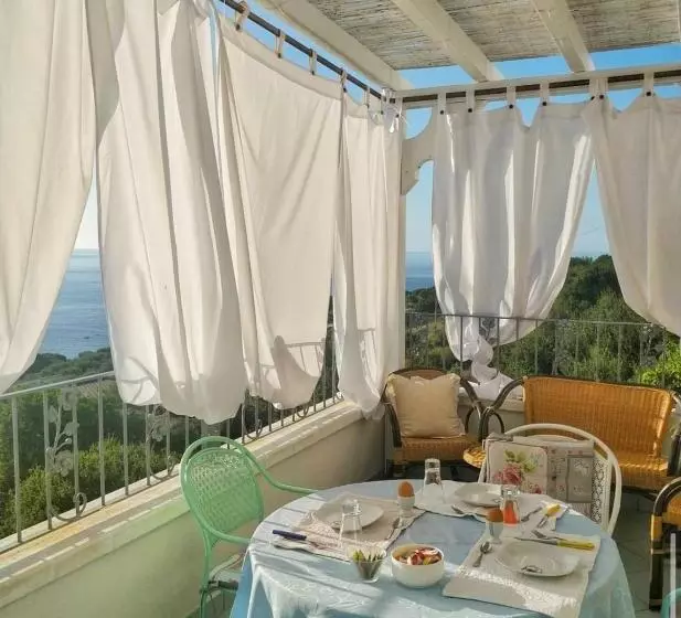 Aamiaismajoitus (B&B) Belvedere