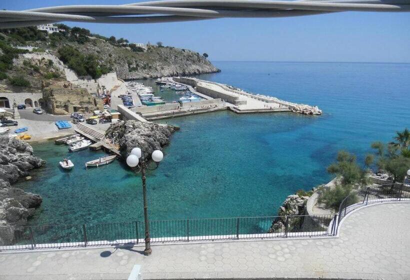 Bed and Breakfast Belvedere